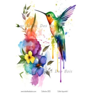 Colibri aquarelle 1 moyen