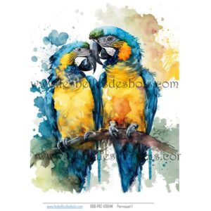 Perroquet 1 moyen