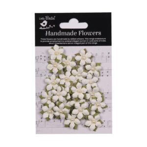 Elira Ivory pearl