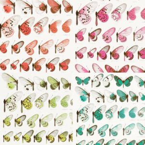 Papier # 16