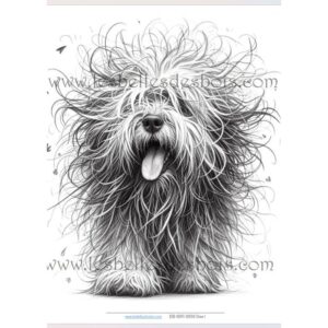 Chien 1