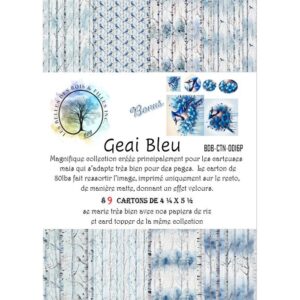 Geai Blue