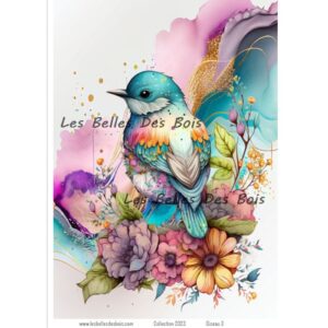 Oiseau 3 moyen