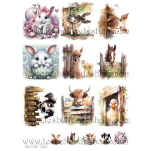 KIT cardtopper mars 2024