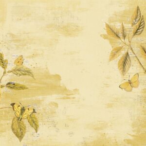 Papier #6