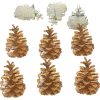 Pinecones 2