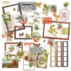 Acetates assorties