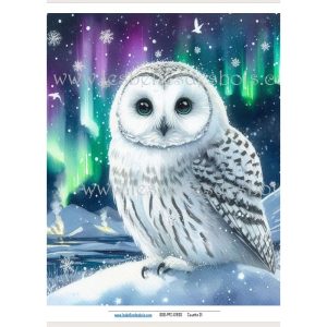Papier de riz – Chouette 01 Petit