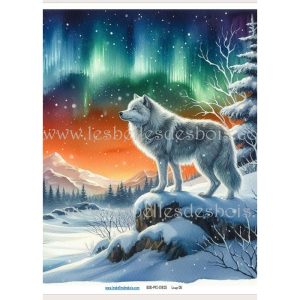 Papier de riz – Loup 06 Moyen
