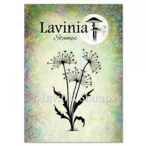Dandelions 2