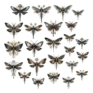 Ephemera Libellules