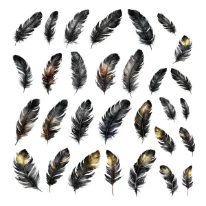 Ephemera Plumes