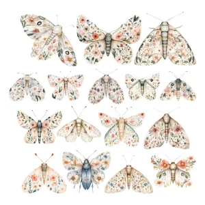 Ephemera Mites