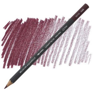 Aubergine cramoisie (Crimson aubergine)