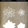 Poinsettia blanc de Noël superposé