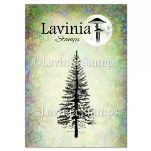 Fir Tree 1