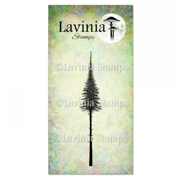 Fairy Fir Tree (Petit)