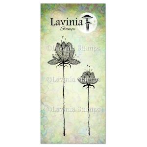 Lilium Set