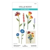 Fleurs Fantaisistes